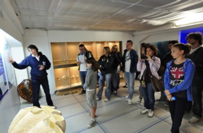 Visita Fondazione Cetacea